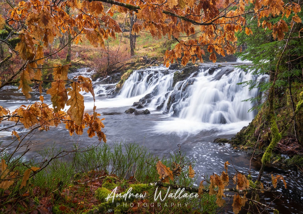 Avich Falls