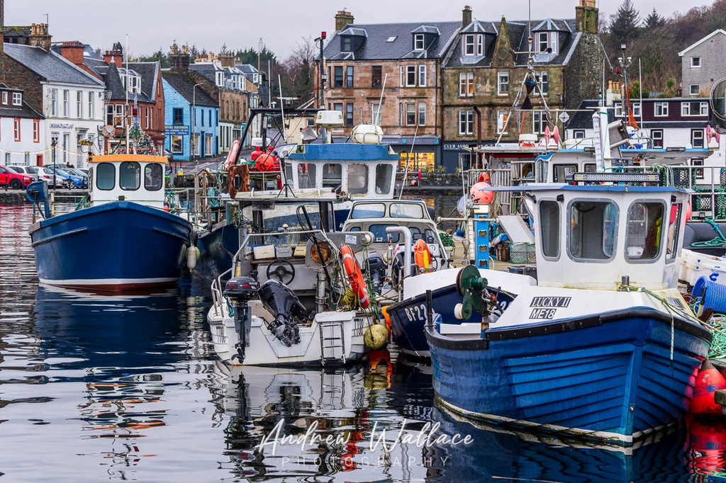 Tarbert Creelers