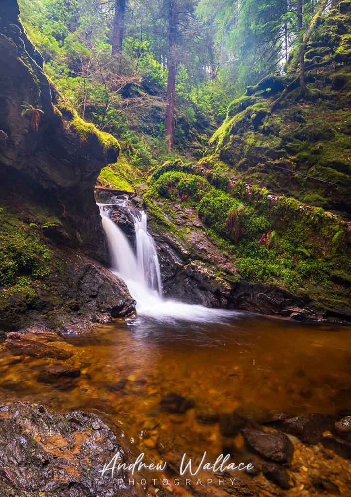 Puck's Glen