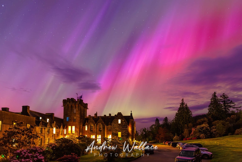 Stonefield's Aurora